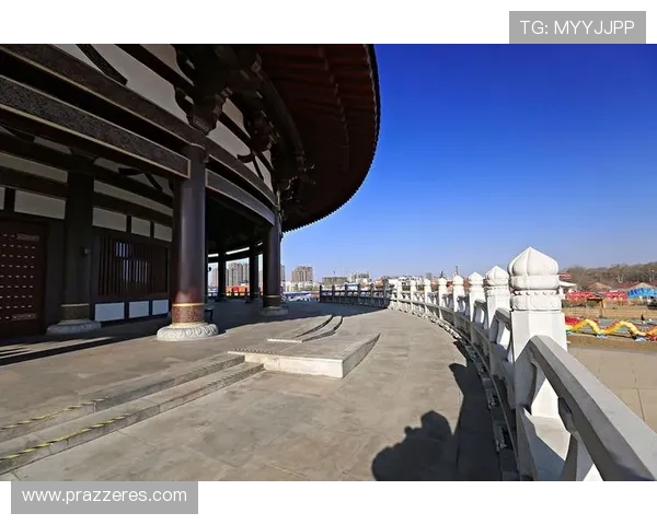 丁丁门并非空穴来风真相揭秘版